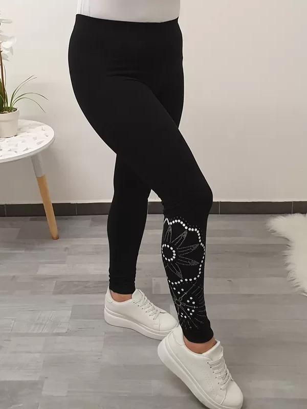 PAJKICE BIBA ČRNA