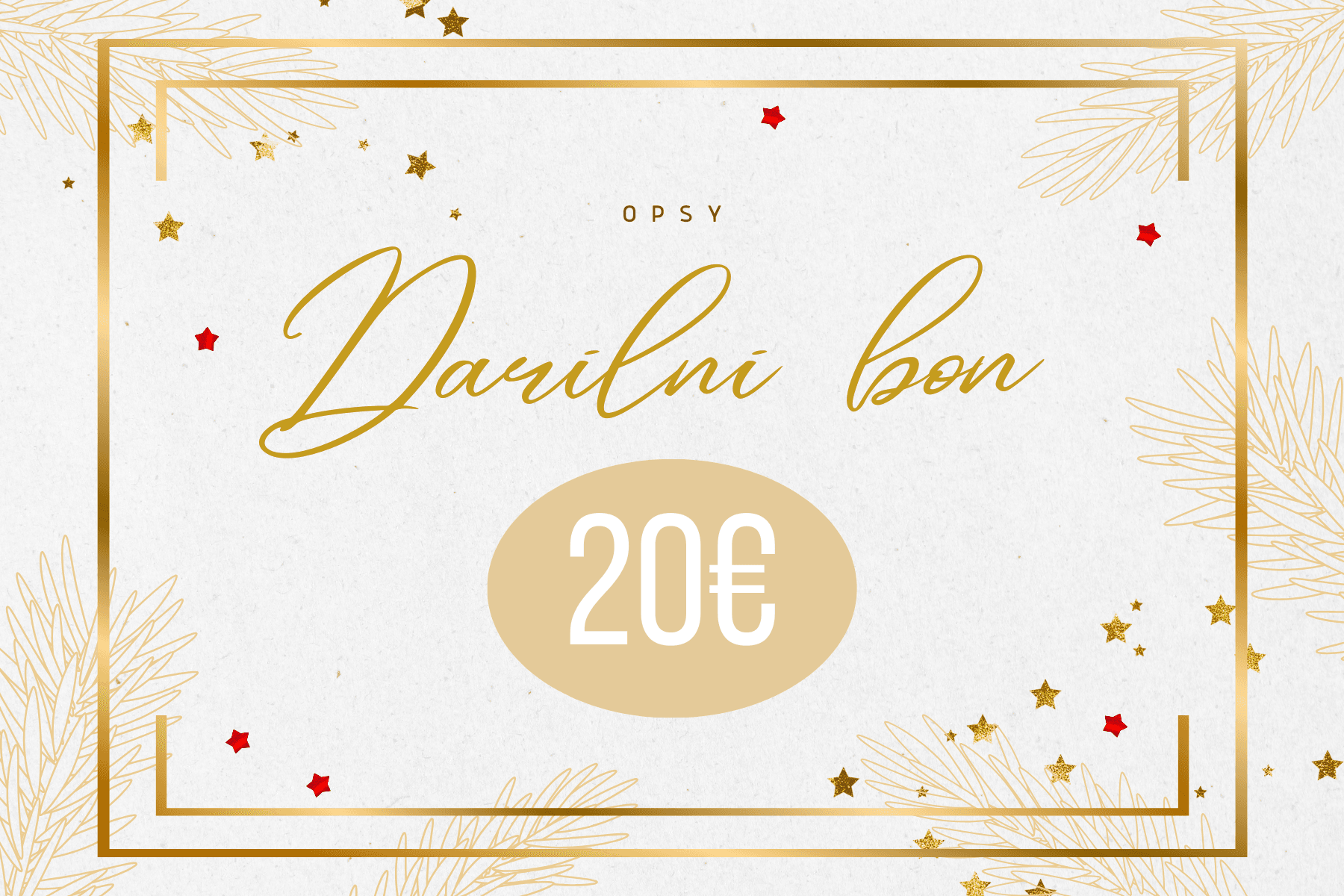 14 DARILNI BON 20€ - slika 1